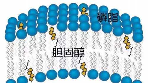 广州本地女性代孕咨询电话|揭阳爱维艾夫医院二代试管技术好吗？