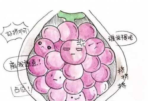 广州供卵试管婴儿哪家好,广州供卵首来十月幸孕助孕_能供卵的医院