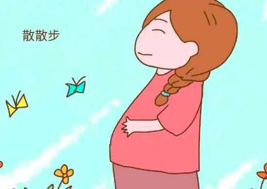 广州代孕的过程视频|试管婴儿取卵周期时间有哪些?
