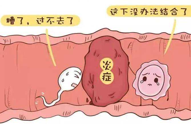 广州做人工授精代孕的地方|武汉助孕机构供卵试管能包成功