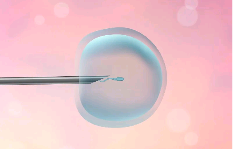 广州代孕辅助生殖中心怀孕妈妈|2023在肇庆做一次试管要多少钱？