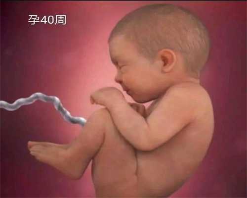 金贝供卵合法吗_广州供卵试管需要什么流程_代孕中介可靠吗_代孕术要多少钱