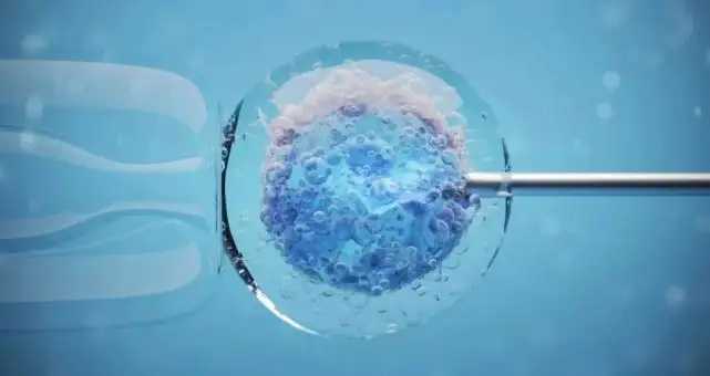 广州公立医院供卵试管费用 2022广州可以开展三代试管的正规医院 ‘阴超看孕囊